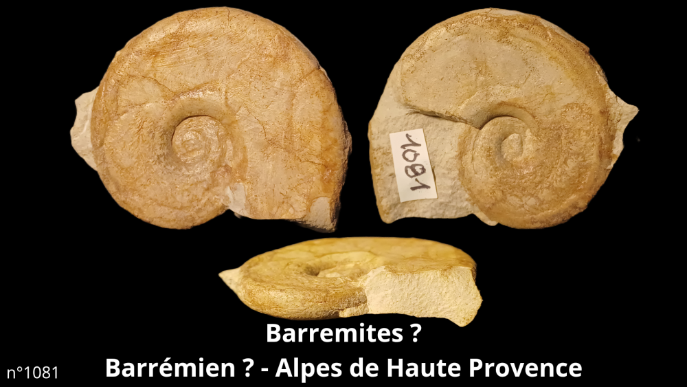 Bte 069_20250813_223559_0000.png