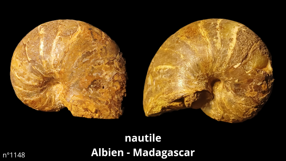 Bte 069_20250813_223559_0001.png