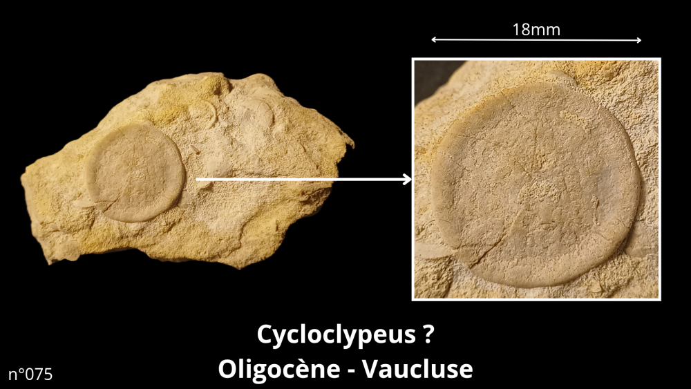 Bte 069_20250813_223559_0002.png