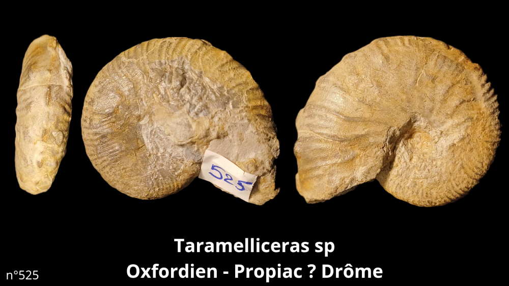 Bte 069_20250813_223559_0004.png