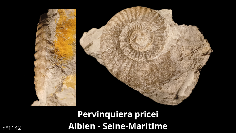 Bte 069_20250813_223559_0005.png