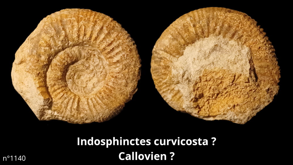 Bte 069_20250813_223600_0006.png