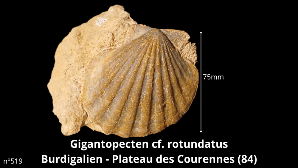 Bte 069_20250813_223600_0008.png