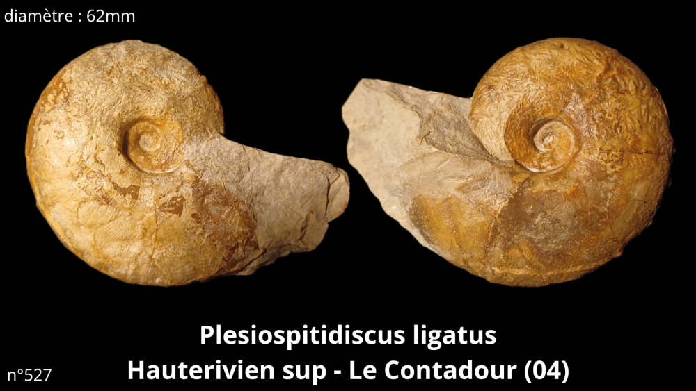 Bte 069_20250813_223600_0009.png