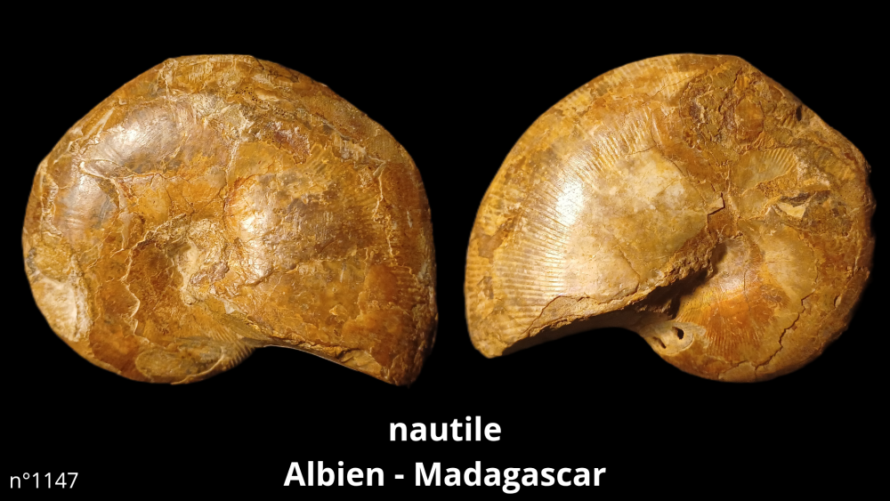 Bte 069_20250813_223600_0010.png