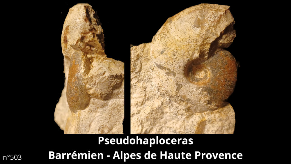 Bte 069_20250813_223600_0012.png