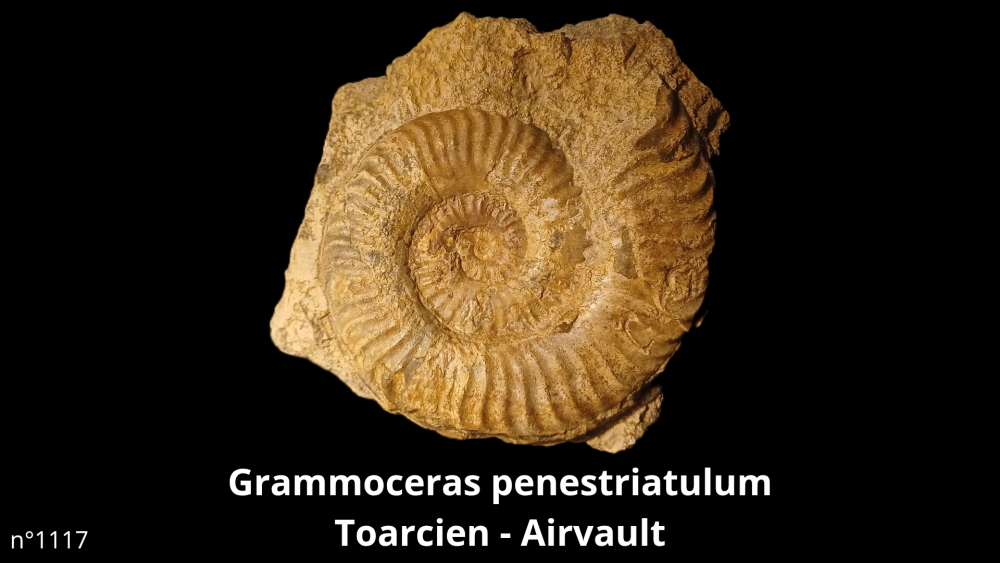 Bte 069_20250813_223600_0013.png