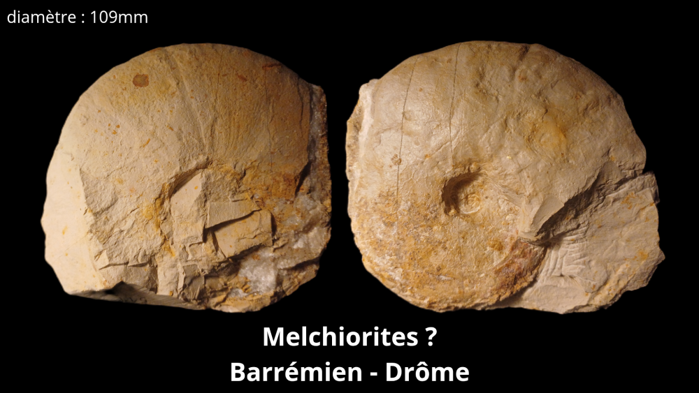 Bte 069_20250813_223601_0015.png