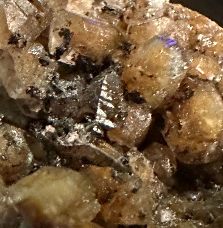 Capture d’écran 2025-08-01 à 18.45.32.png