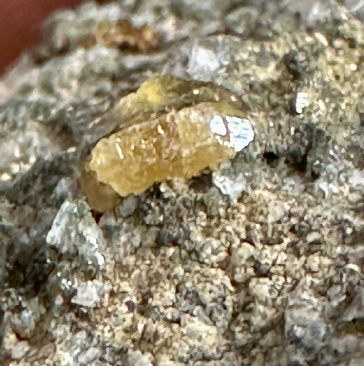 Capture d’écran 2025-08-03 à 21.57.21.png