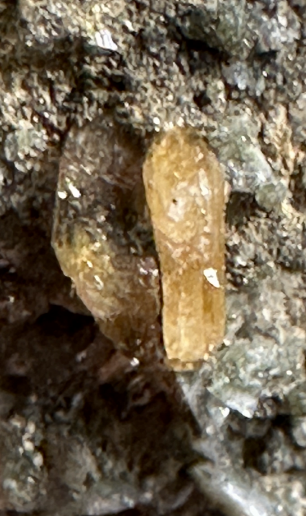 Capture d’écran 2025-08-03 à 21.57.36.png