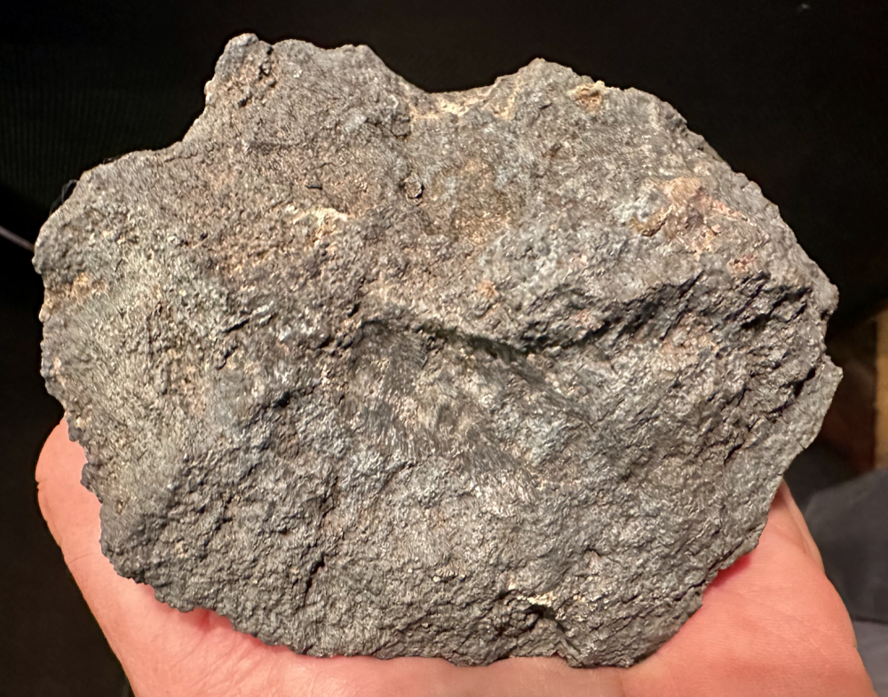 Capture d’écran 2025-08-03 à 22.25.24.png