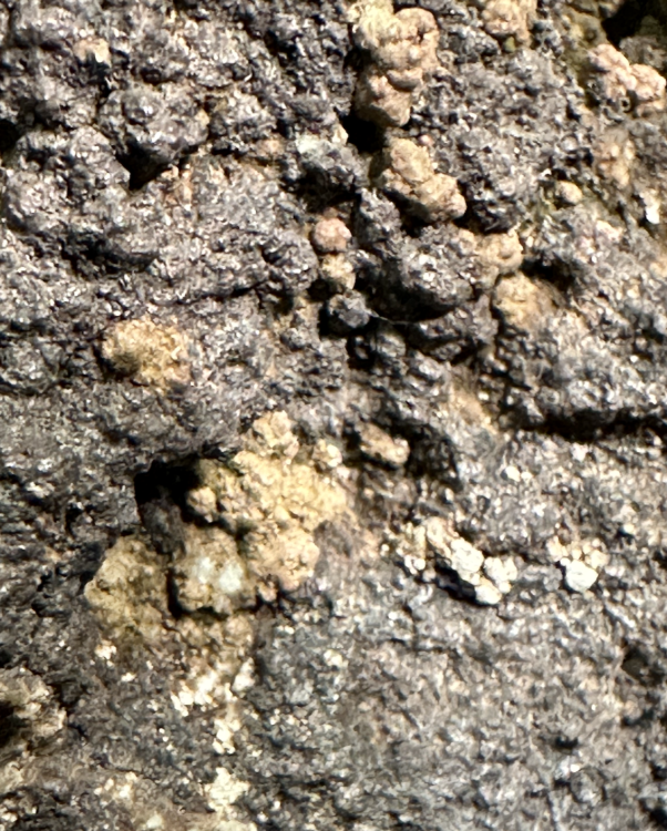 Capture d’écran 2025-08-03 à 22.25.41.png