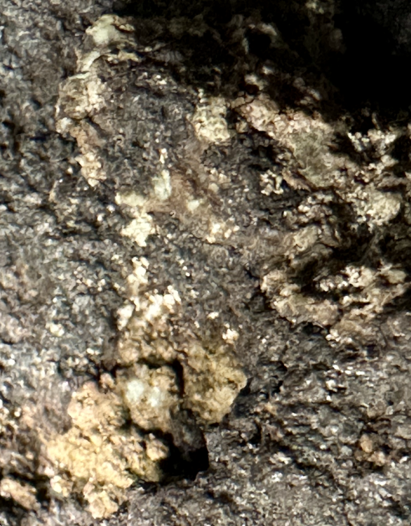 Capture d’écran 2025-08-03 à 22.26.01.png