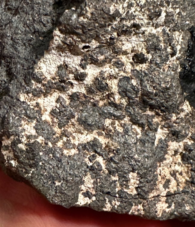 Capture d’écran 2025-08-03 à 22.26.31.png