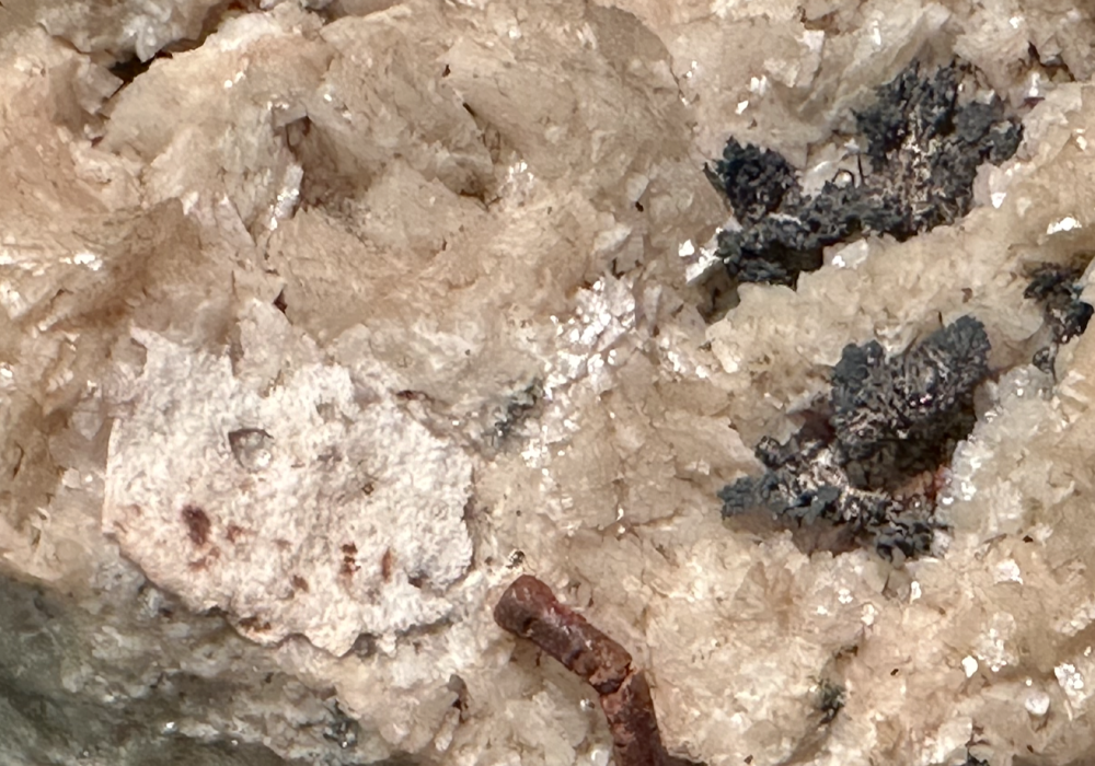 Capture d’écran 2025-08-03 à 22.36.28.png