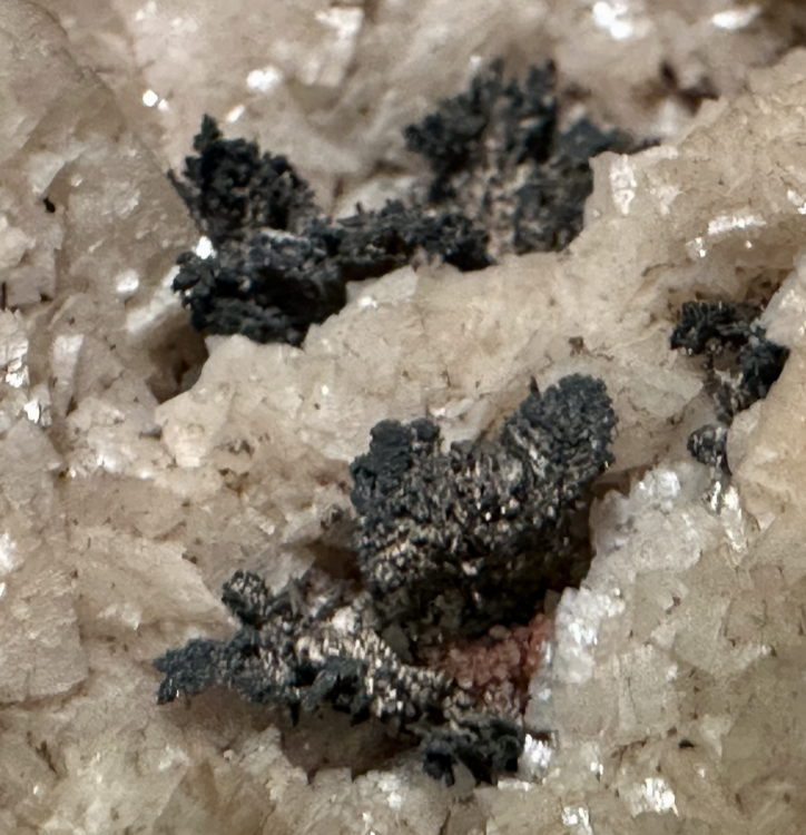 Capture d’écran 2025-08-03 à 22.36.49.png