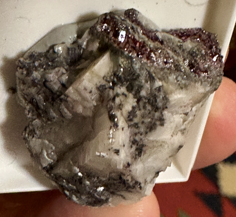 Capture d’écran 2025-08-04 à 22.11.10.png