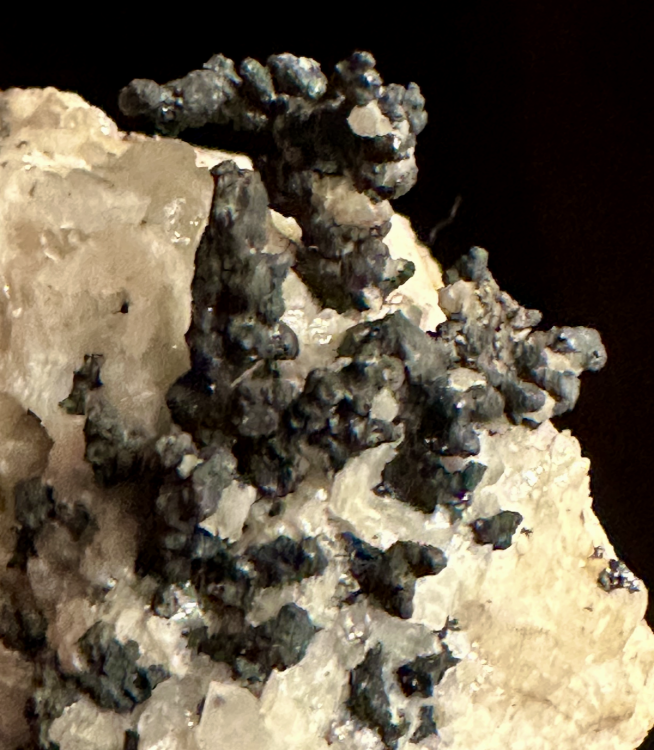 Capture d’écran 2025-08-04 à 22.12.43.png