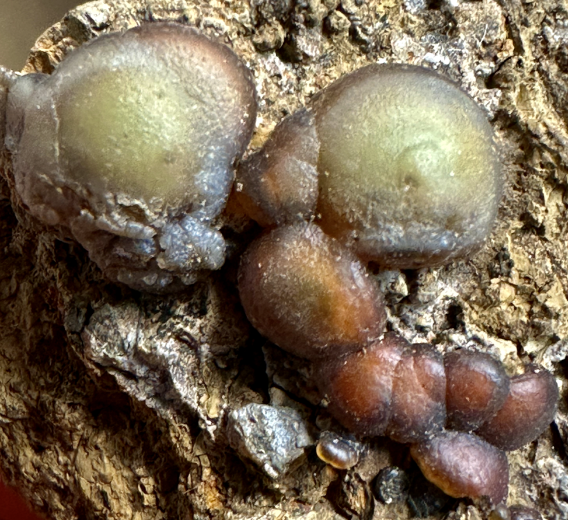 Capture d’écran 2025-08-04 à 22.19.17.png