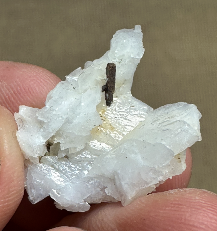 Capture d’écran 2025-08-06 à 13.53.00.png