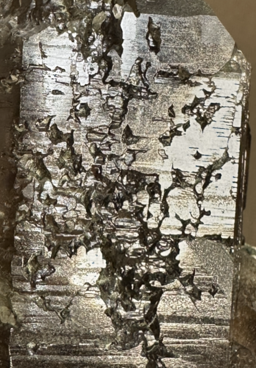 Capture d’écran 2025-08-14 à 00.01.17.png