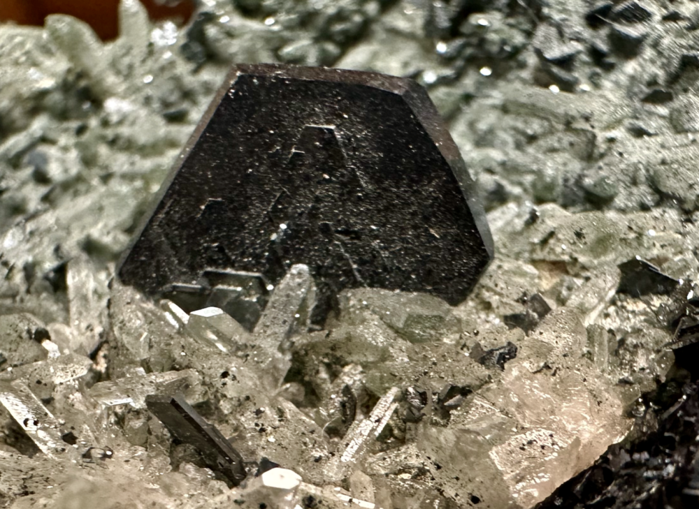 Capture d’écran 2025-08-15 à 18.31.20.png