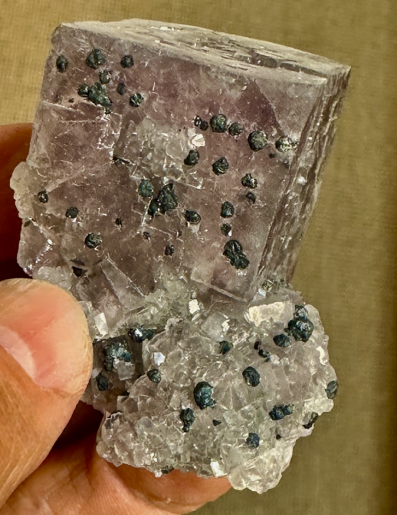 Capture d’écran 2025-08-17 à 19.33.33.png