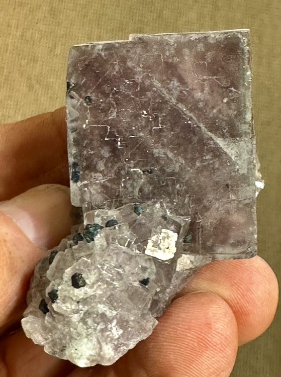 Capture d’écran 2025-08-17 à 19.34.00.png