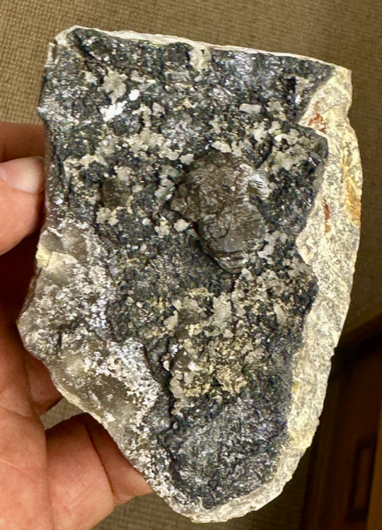 Capture d’écran 2025-08-17 à 19.34.44.png