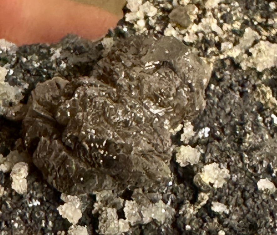 Capture d’écran 2025-08-17 à 19.35.07.png