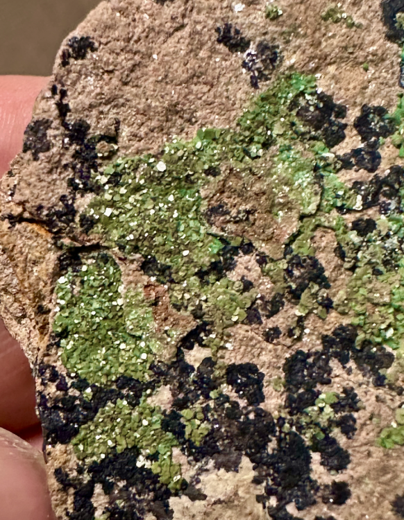 Capture d’écran 2025-08-18 à 10.24.01.png