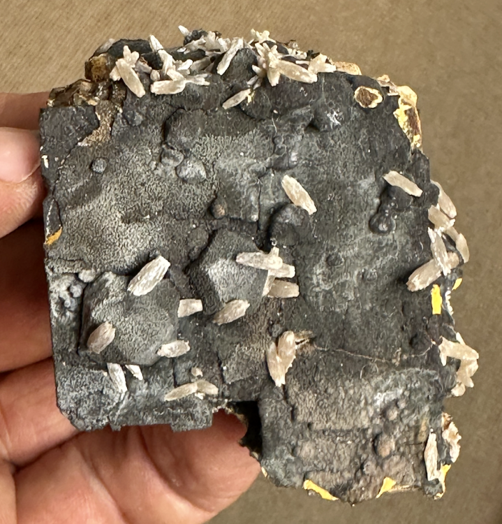 Capture d’écran 2025-08-18 à 10.24.55.png