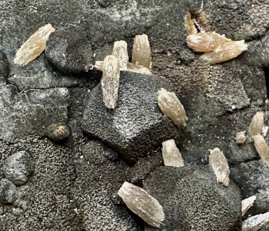 Capture d’écran 2025-08-18 à 10.25.30.png