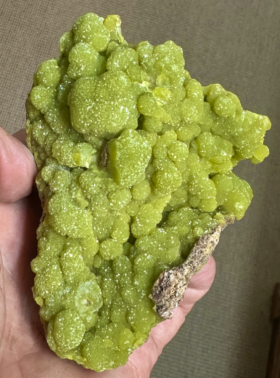 Capture d’écran 2025-08-18 à 10.31.03.png