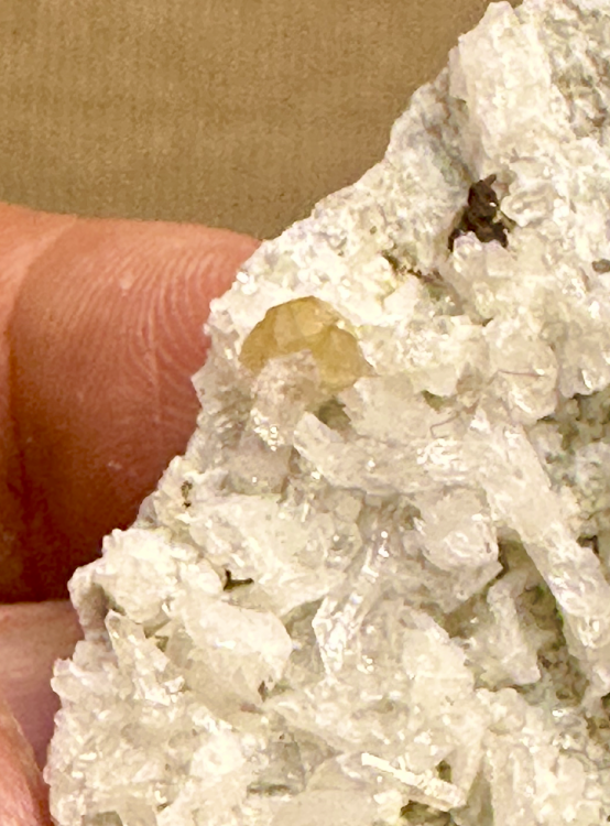 Capture d’écran 2025-08-18 à 10.48.48.png