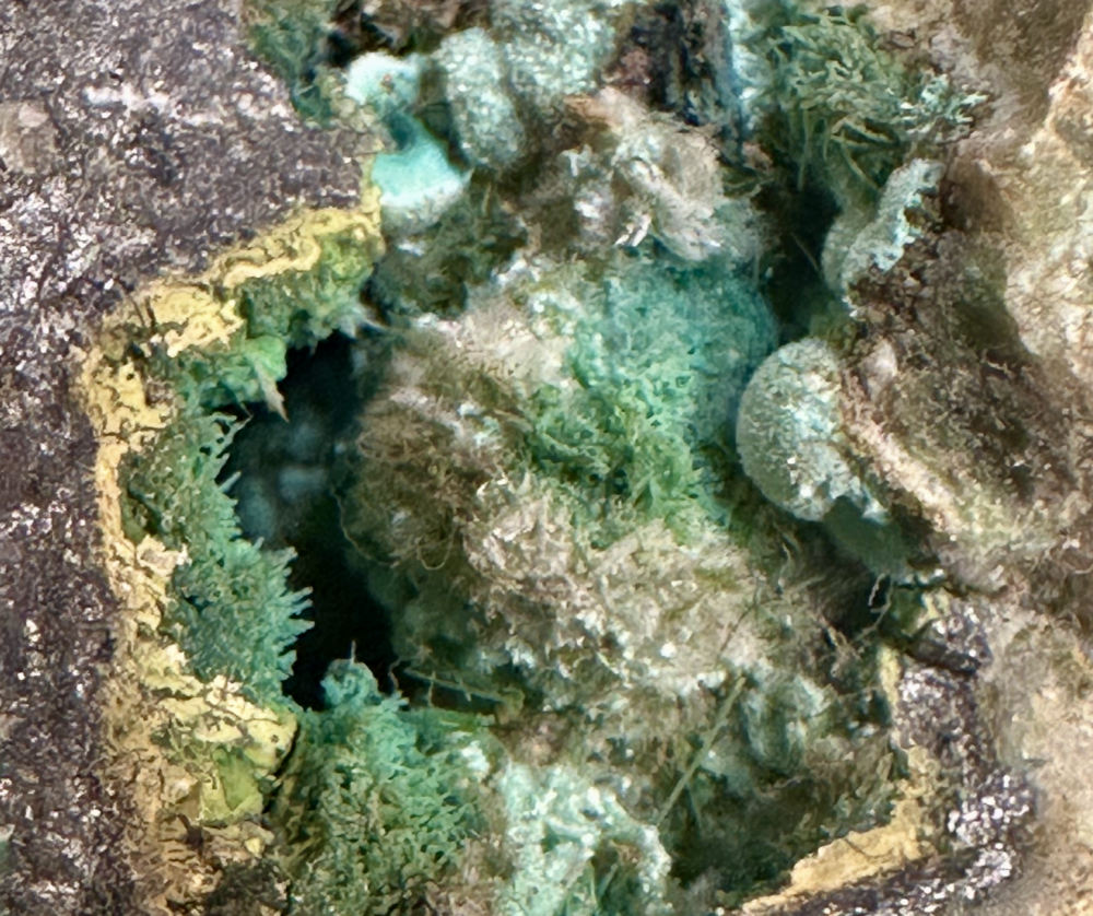 Capture d’écran 2025-08-19 à 17.35.19.png