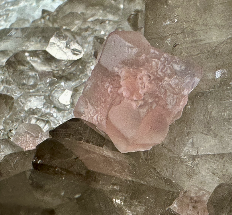 Capture d’écran 2025-08-19 à 17.44.33.png