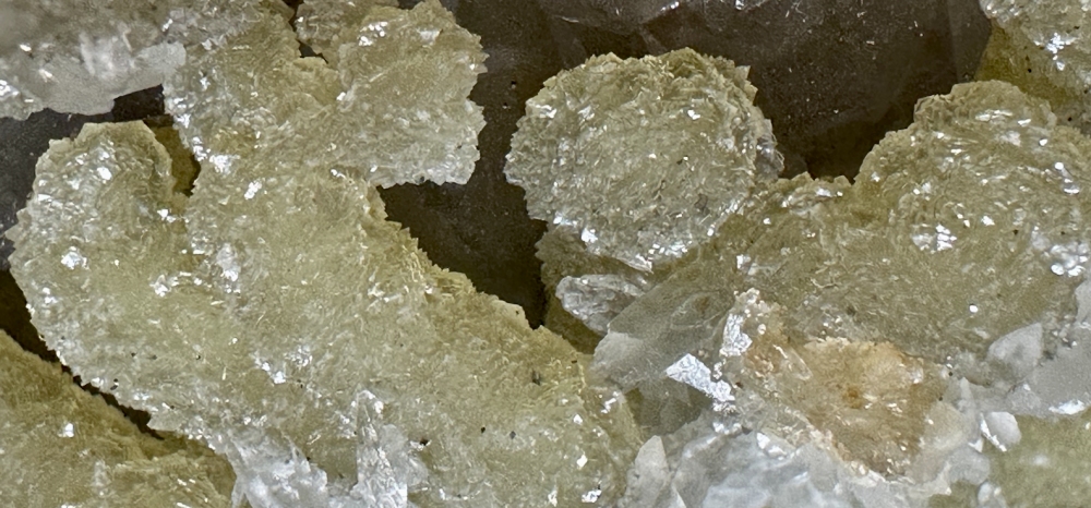 Capture d’écran 2025-08-24 à 12.49.07.png