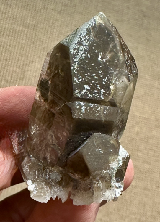 Capture d’écran 2025-08-24 à 12.51.22.png