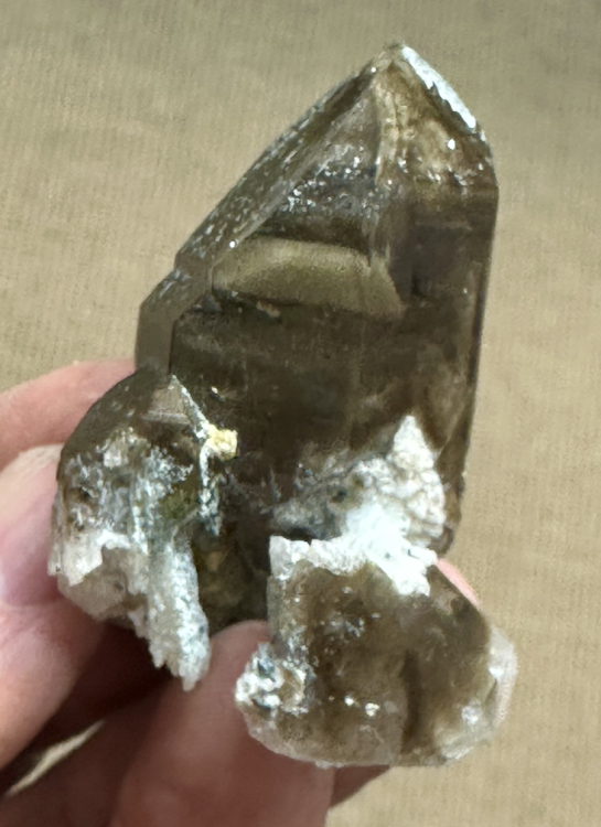 Capture d’écran 2025-08-24 à 12.52.18.png