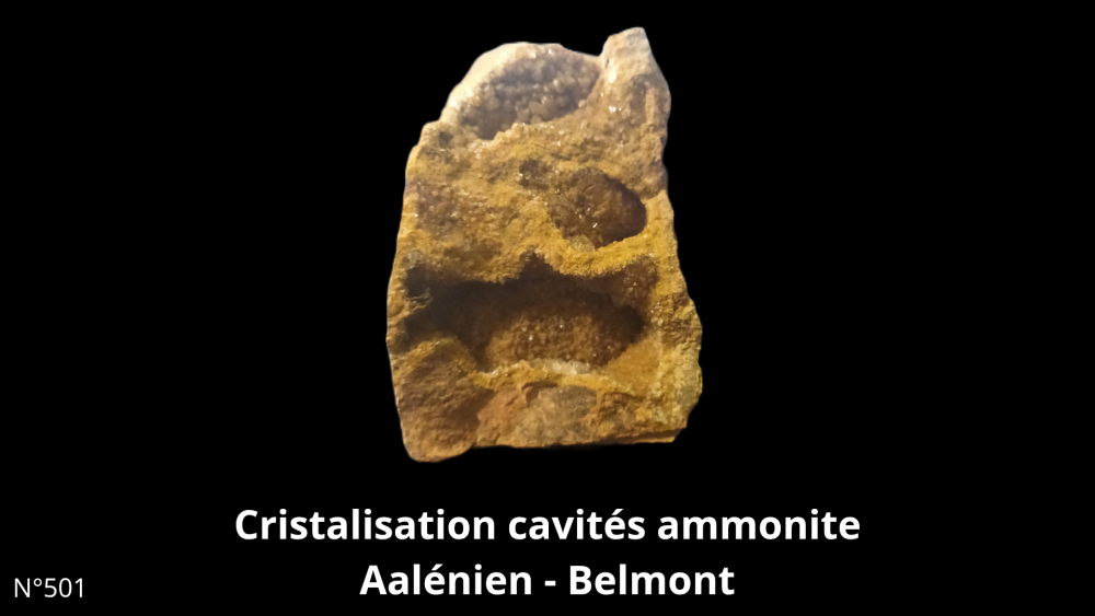 Cristalisation cavités ammonite Aalénien - Lozanne_20250812_211311_0000.png