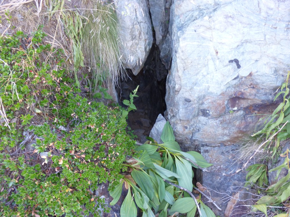 Le Clos Chevalier 8 (autre galerie).JPG