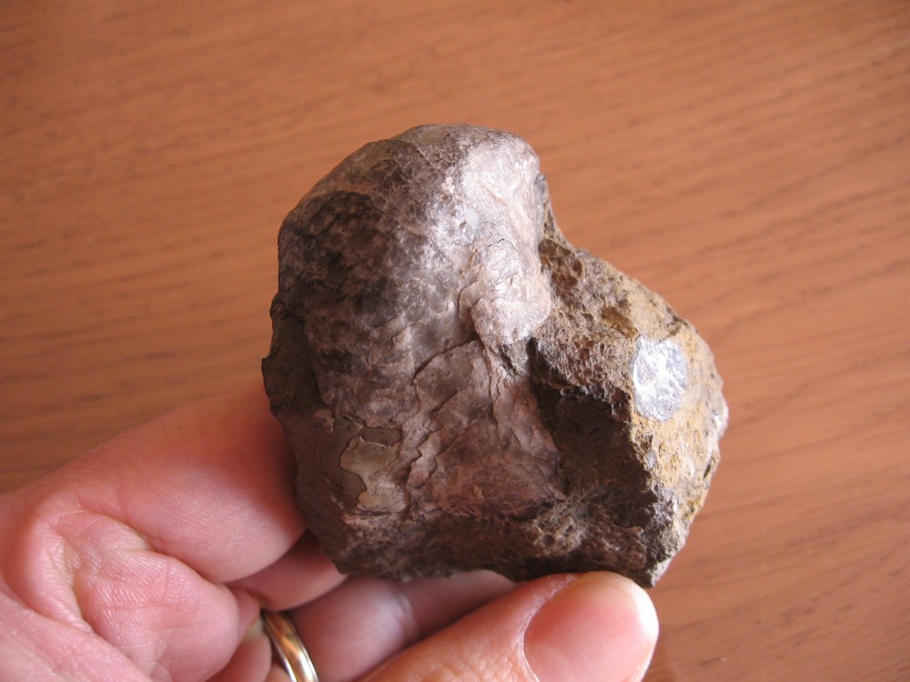 Loze (82) 11-08-2008-16.JPG