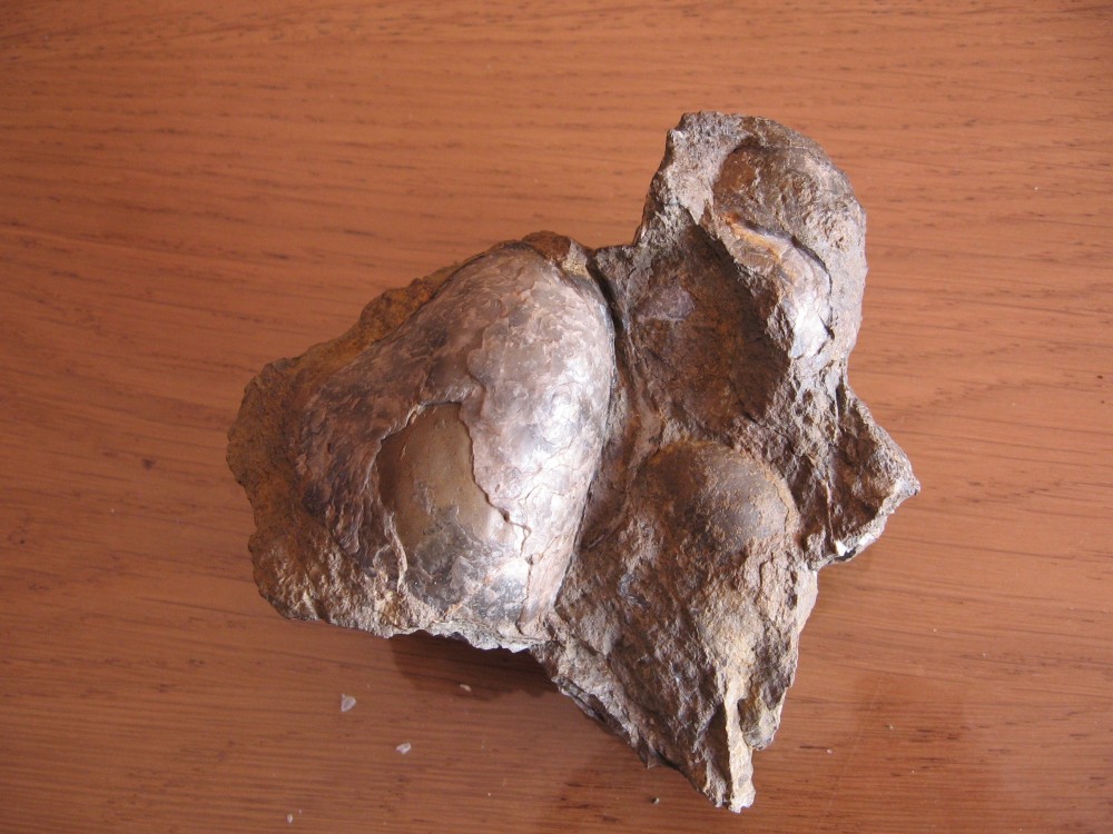 Loze (82) 11-08-2008-17.JPG