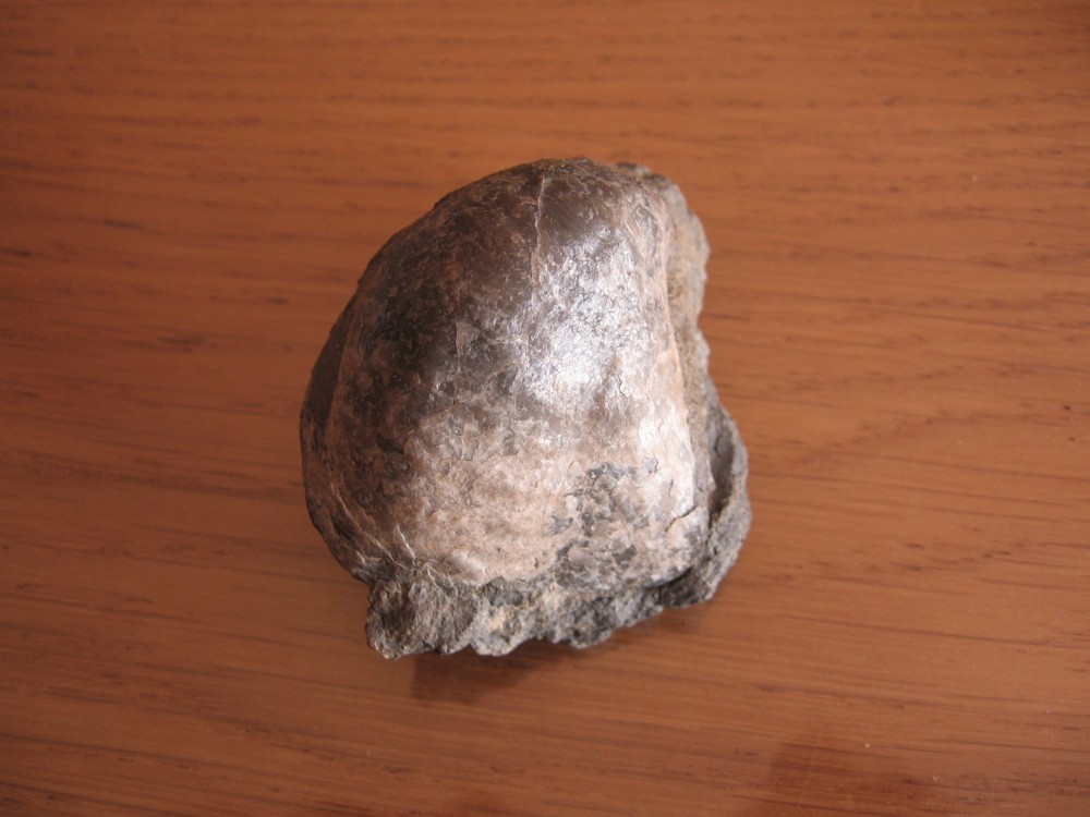 Loze (82) 11-08-2008-3.JPG