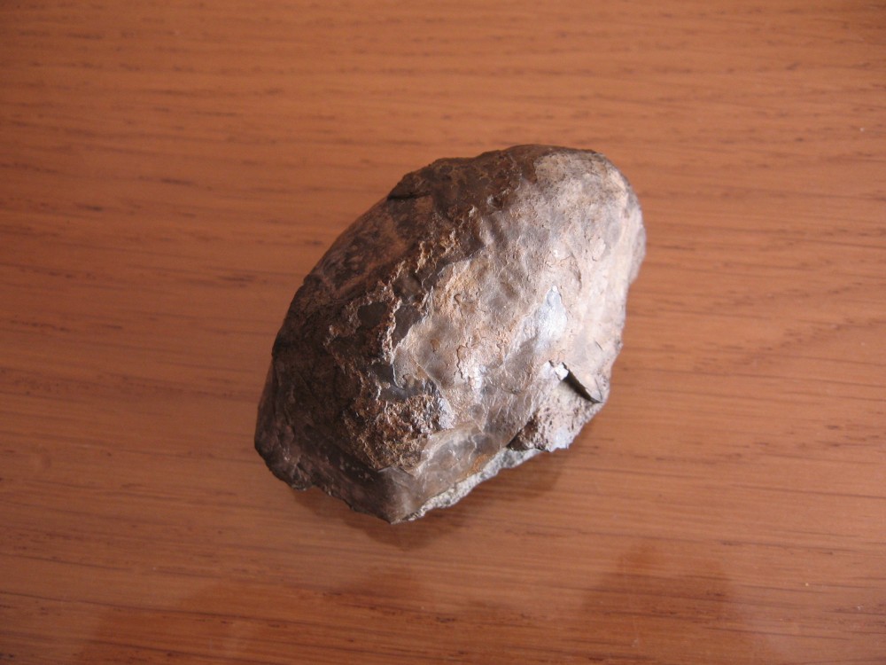 Loze (82) 11-08-2008-5.JPG