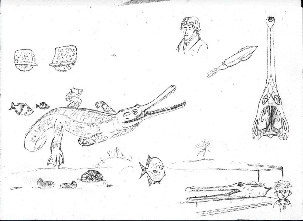 Steneosaurus  un crocodilien des vaches noirs cr.jpg