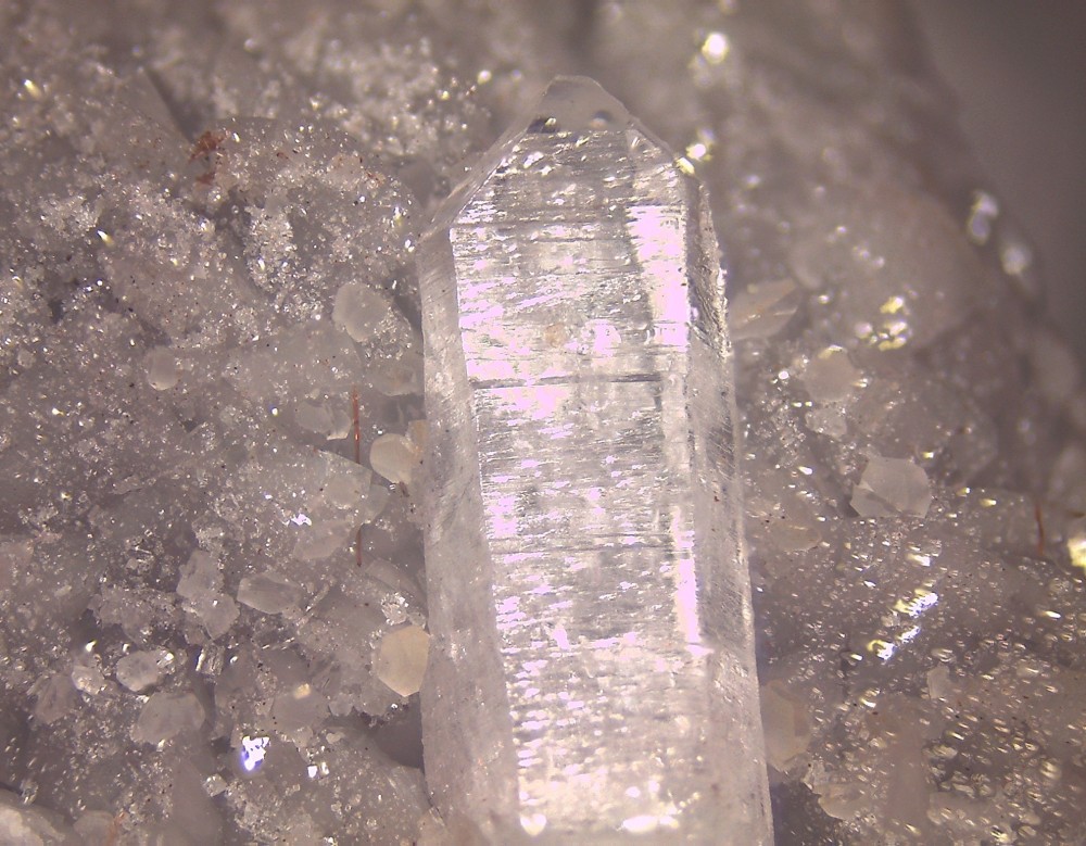 Trimouns2025 130x100 s23.jpg