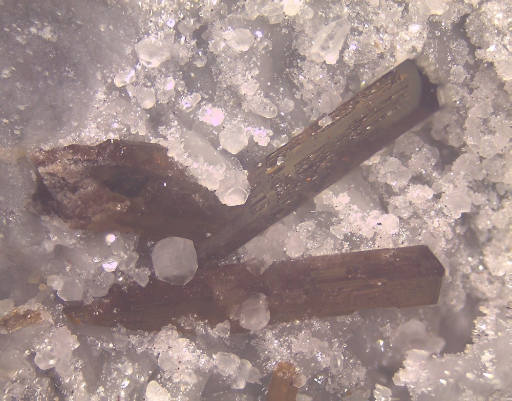 Trimouns2025 130x100 s32.jpg